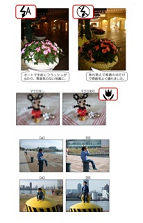 デジタルカメラで撮り比べてみよう